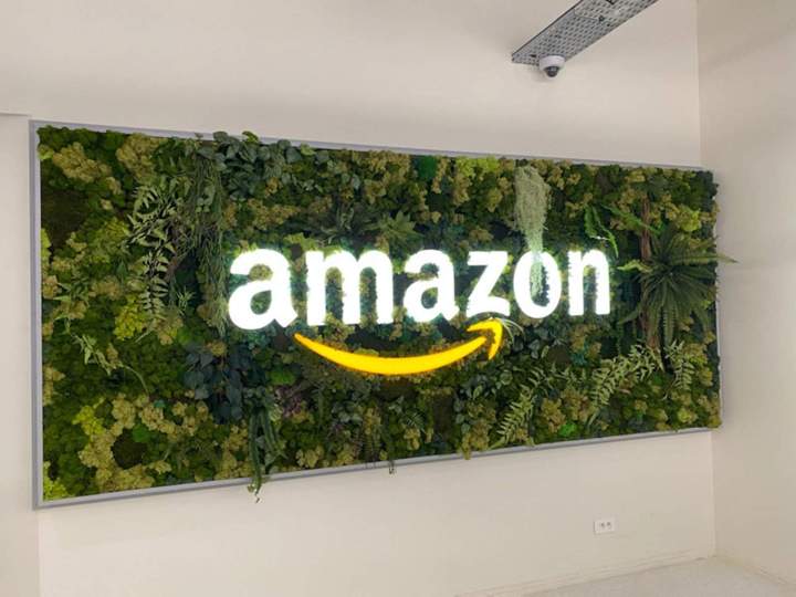 Cadre Amazon après